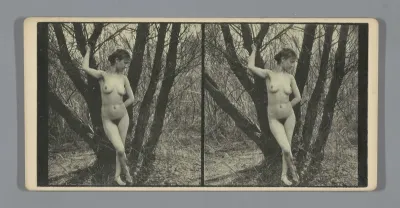 Portret van een naakte vrouw in een bos