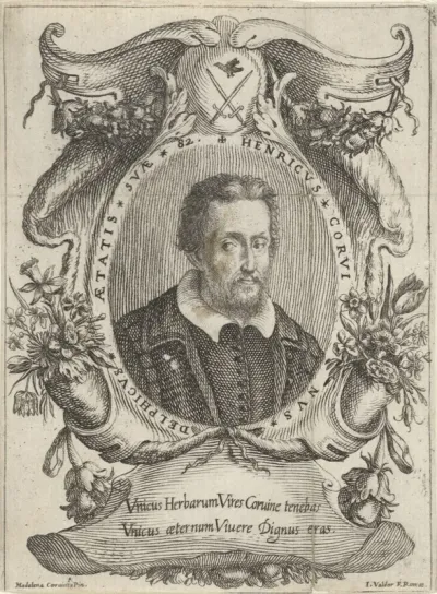 Portret van Henricus Corvinus