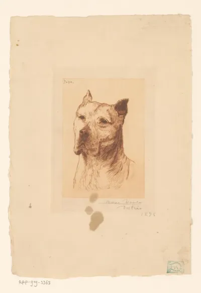 Portret van hond Pacha