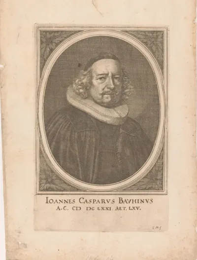 Portret van Johann Caspar Bauhin op 45-jarige leeftijd