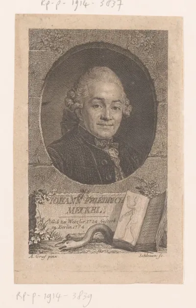 Portret van Johann Friedrich Meckel
