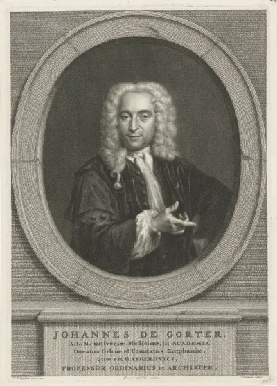 Portret van Johannes de Gorter