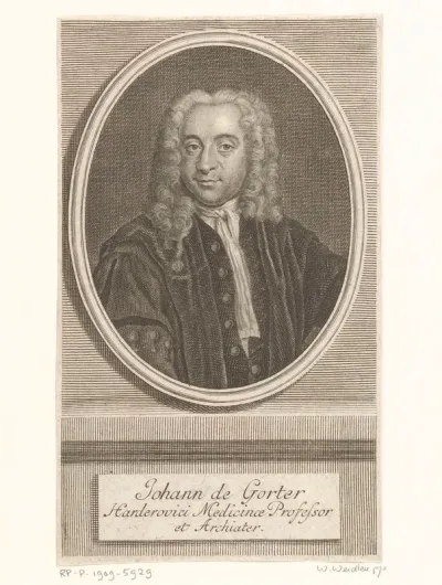 Portret van Johannes de Gorter