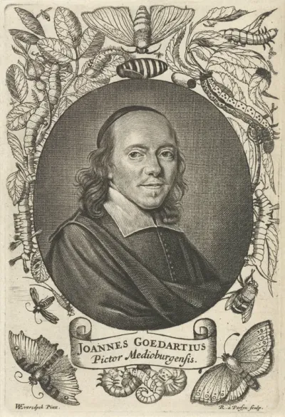 Portret van Johannes Goedaert