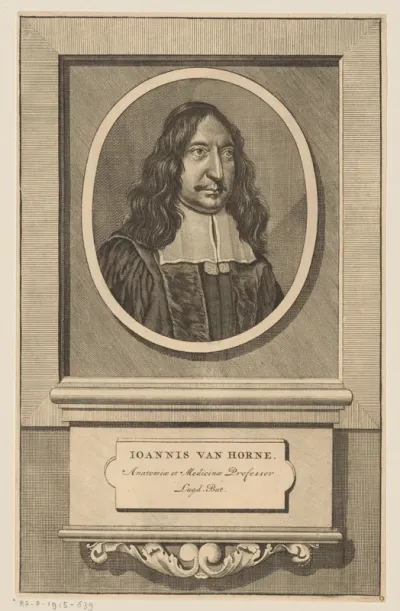 Portret van Johannes van Horne