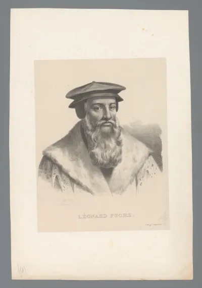 Portret van Leonhart Fuchs