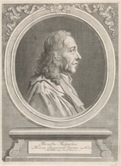Portret van Marcello Malpighi