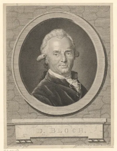Portret van Marcus Elieser Bloch
