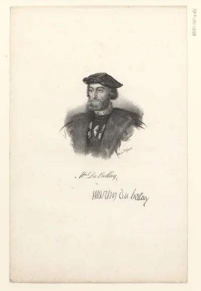 Portret van Martin du Bellay