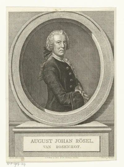 Portret van miniatuurschilder August Johan Rösel van Rosenhof