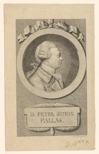 Portret van Peter Simon Pallas