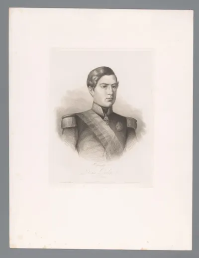 Portret van Peter V van Portugal