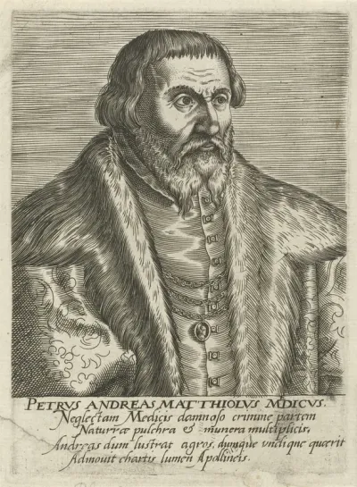Portret van Pietro Andrea Mattioli
