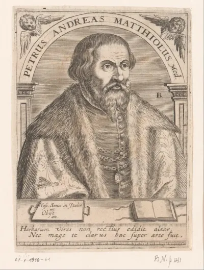 Portret van Pietro Andrea Mattioli