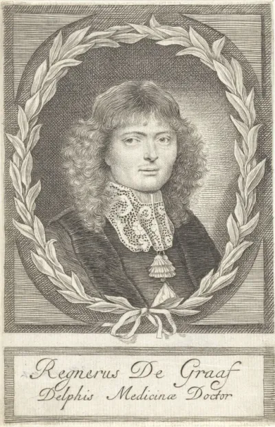 Portret van Reinier de Graaf
