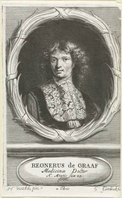 Portret van Reinier de Graaf
