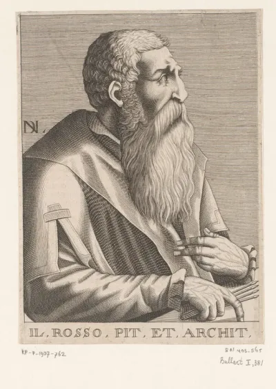 Portret van Rosso Fiorentino