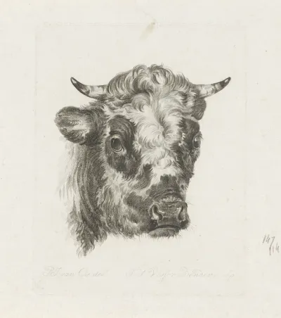 Portret van Rudolf van Frankrijk