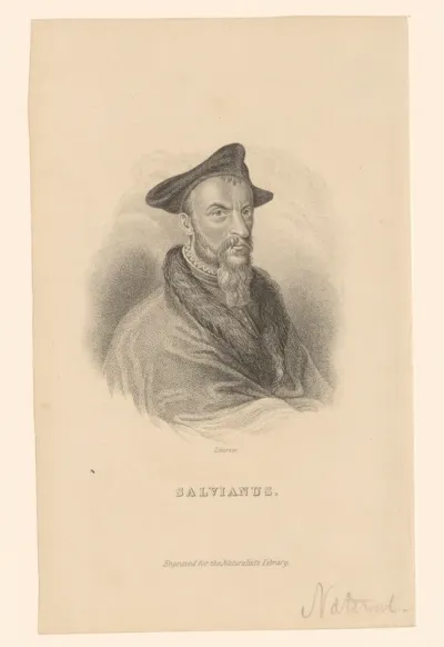 Portret van Salvinus