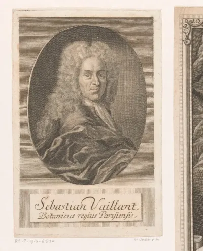 Portret van Sébastien Vaillant