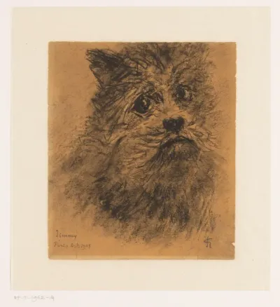 Portretstudie van hond Jimmy