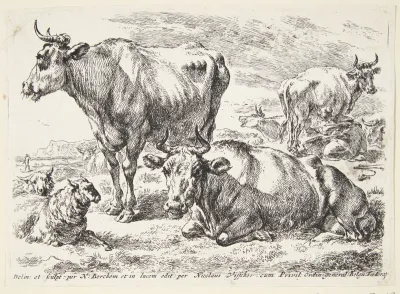 Portræt af et medlem af Out-familien. Cornelis Out (?)