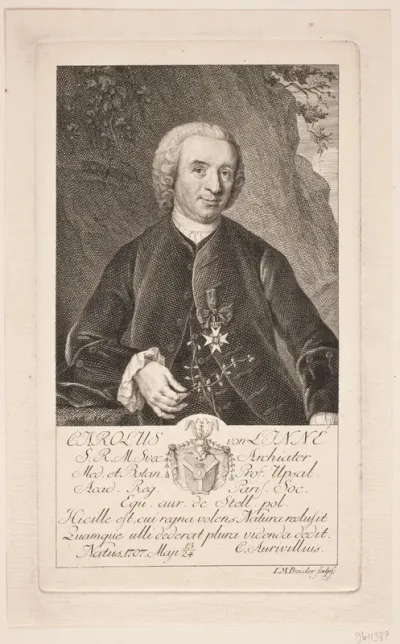 Portræt C. Linné