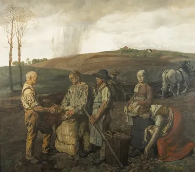 Potato harvest
