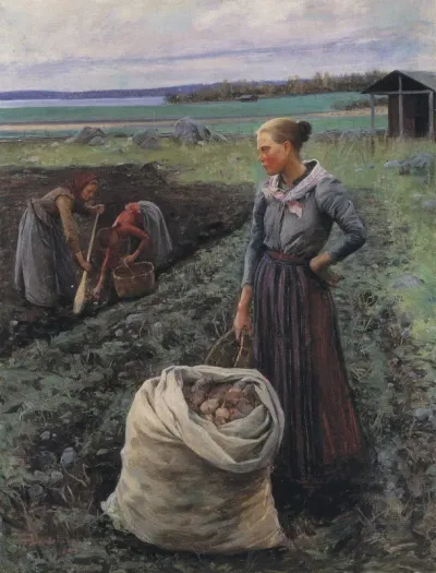 Potato Harvesters