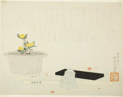 Potted adonis with writing implements