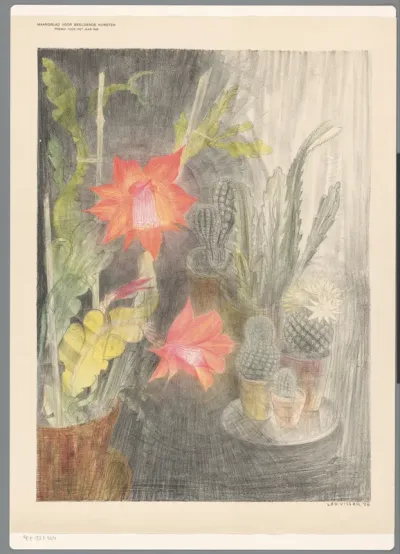 Potten met cactussen en plant in bloei