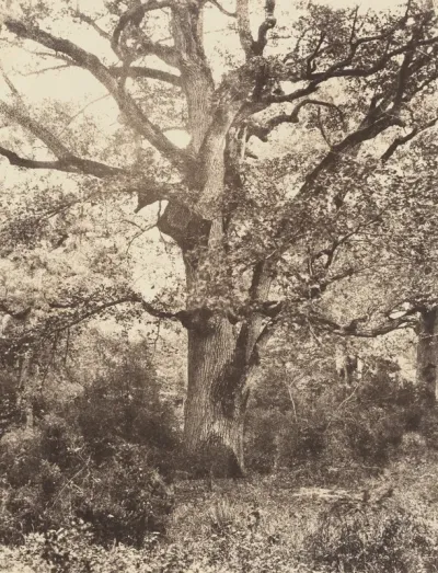 Près du Bodmer