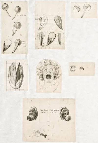 Primae delineationes Tabularum sceleti et musculorum corporis humani: muscles of the eye, ear and mouth