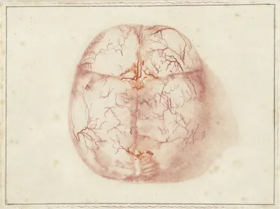 Prints of the Brain and the Heart