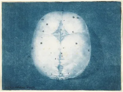 Prints of the Brain and the Heart