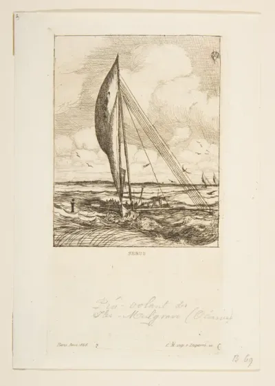 Pro-Volant des Iles Mulgrave, from "The Voyage to New Zealand (1842–46)"