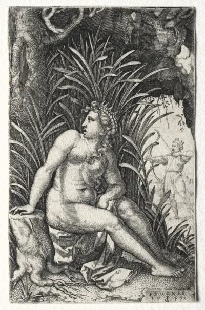 Procris