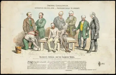 Professors considering whether a pair of conjoined twins should be separated after the death of one of them; representing a political discussion in Bradford about the separation of two factions (?)
