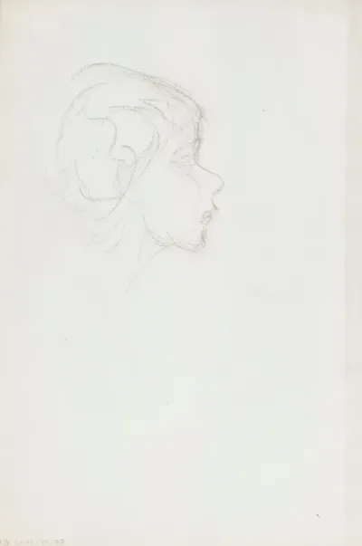 Profiili
