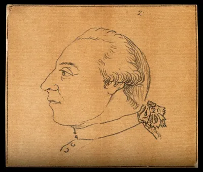Profile of a man deemed by Lavater to be good and gentle