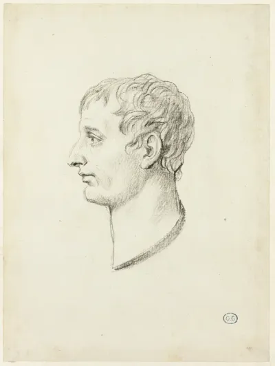 Profile of Napoleon