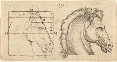 Profile Study of Two Horse Heads
