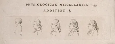 Progression of a man through the ages of infancy to the age of fifty