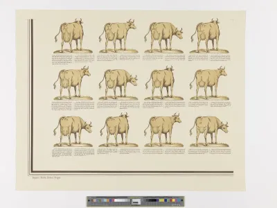 Properties of good and bad dairy cows (left lower corner of the poster)