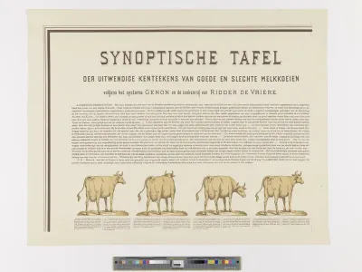 Properties of good and bad dairy cows (left upper corner of the poster)