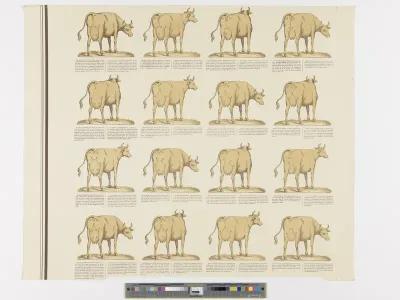 Properties of good and bad dairy cows (middle left part of the poster)