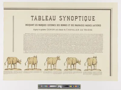 Properties of good and bad dairy cows (top right part of the poster)