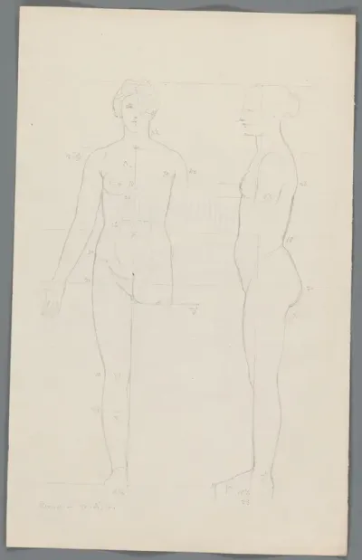Proportiestudie naar de Venus de' Medici