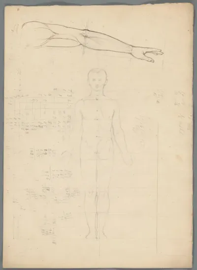 Proportiestudie van een man en studie van een arm