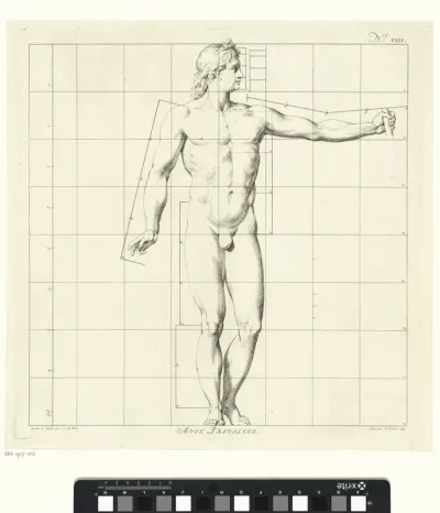 Proportiestudie van het lichaam van Apollo Belvedere